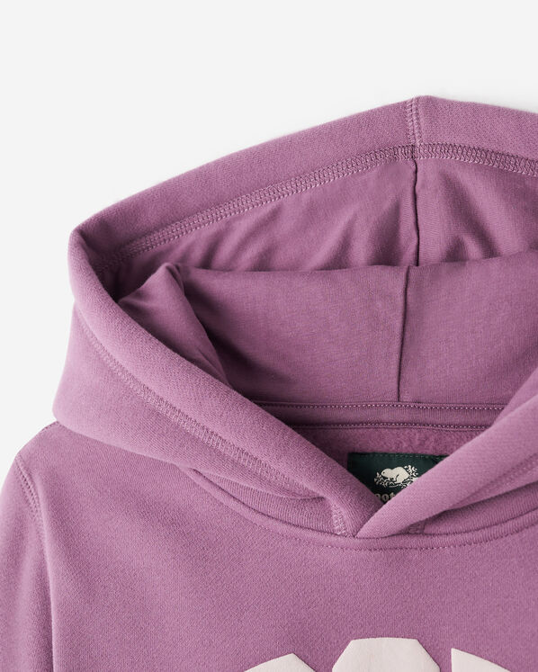 Kids Roots Arch Hoodie