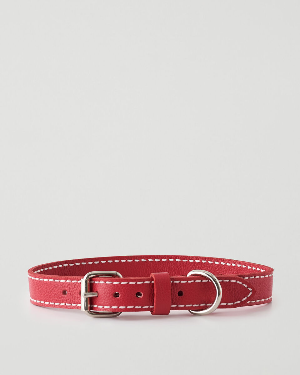 Large Dog Collar Cervino