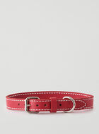 Large Dog Collar Cervino