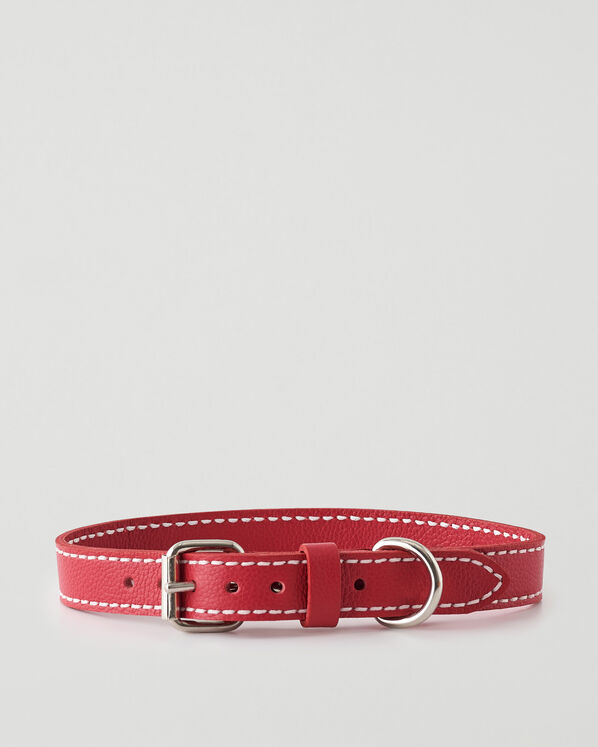 Large Dog Collar Cervino