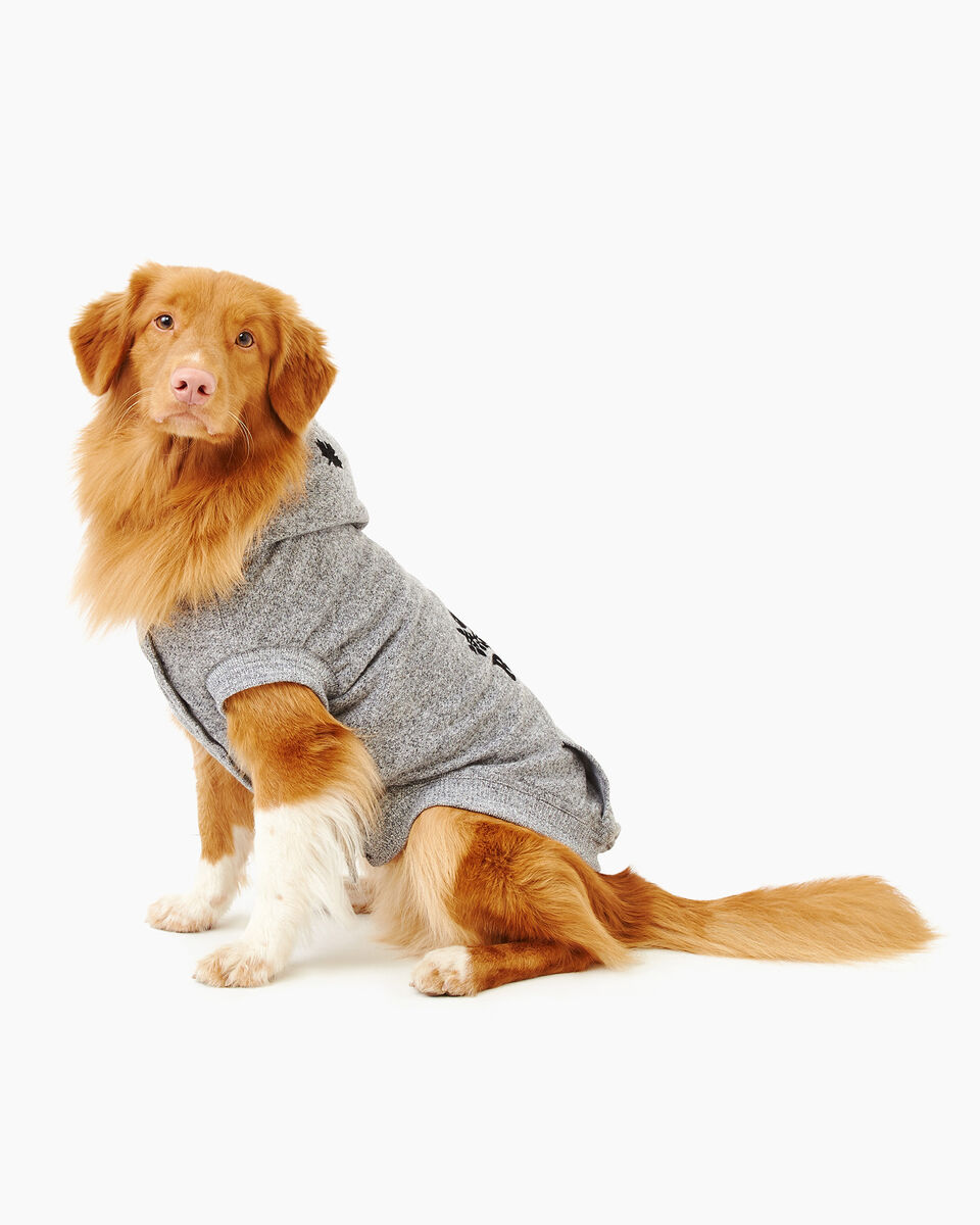 Blouson à capuchon Salt and Pepper Pooch Taille 20