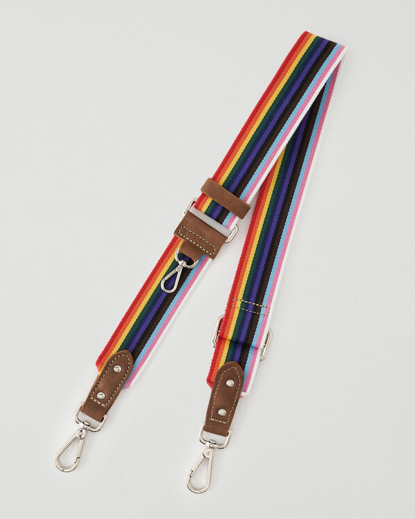 Rainbow Webbing Strap