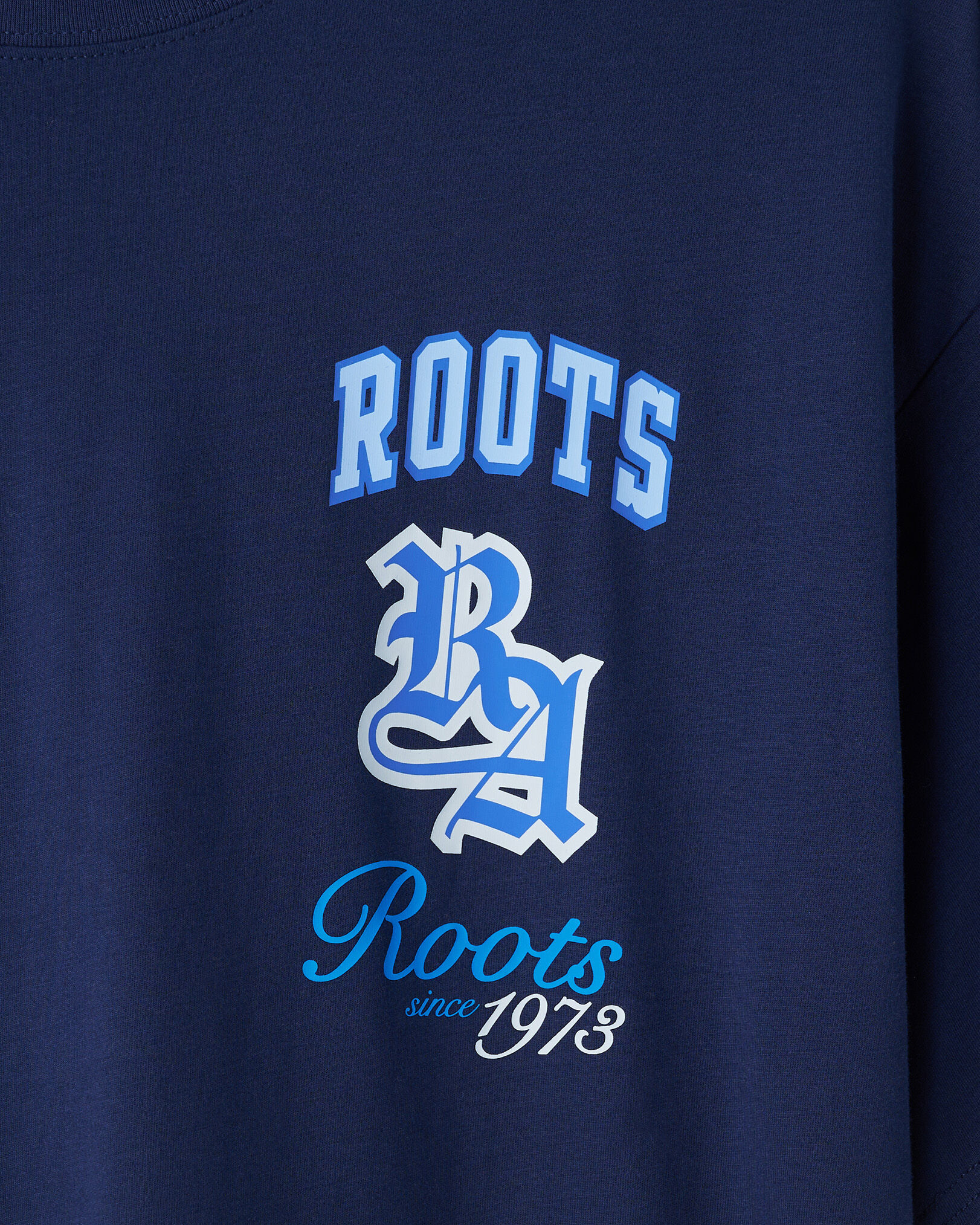 Mens Legends Graphic T- Shirt