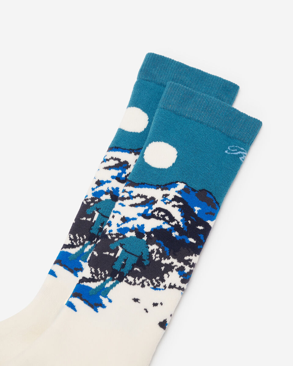 Adult Landscape Intarsia Sock
