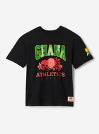 T-shirt international Roots