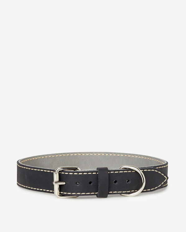 Très grand collier en cuir pour chien