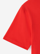 T-shirt Racines nordiques