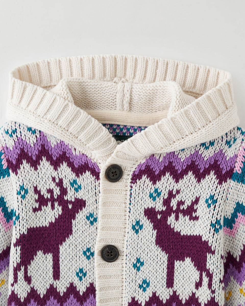 Baby Fair Isle Hoodie Sweater