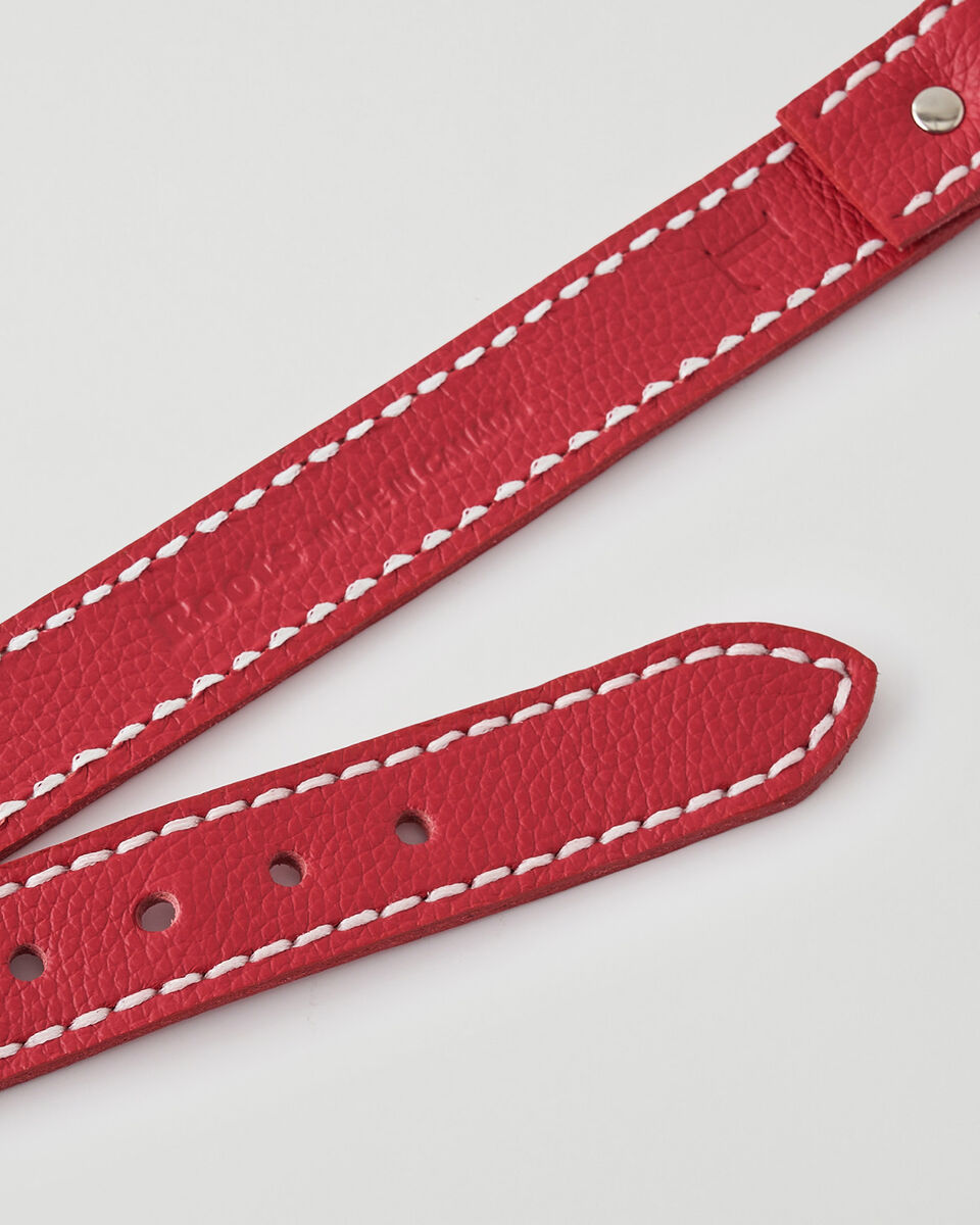 Large Dog Collar Cervino