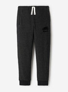 Boys Organic Park Slim Sweatpant