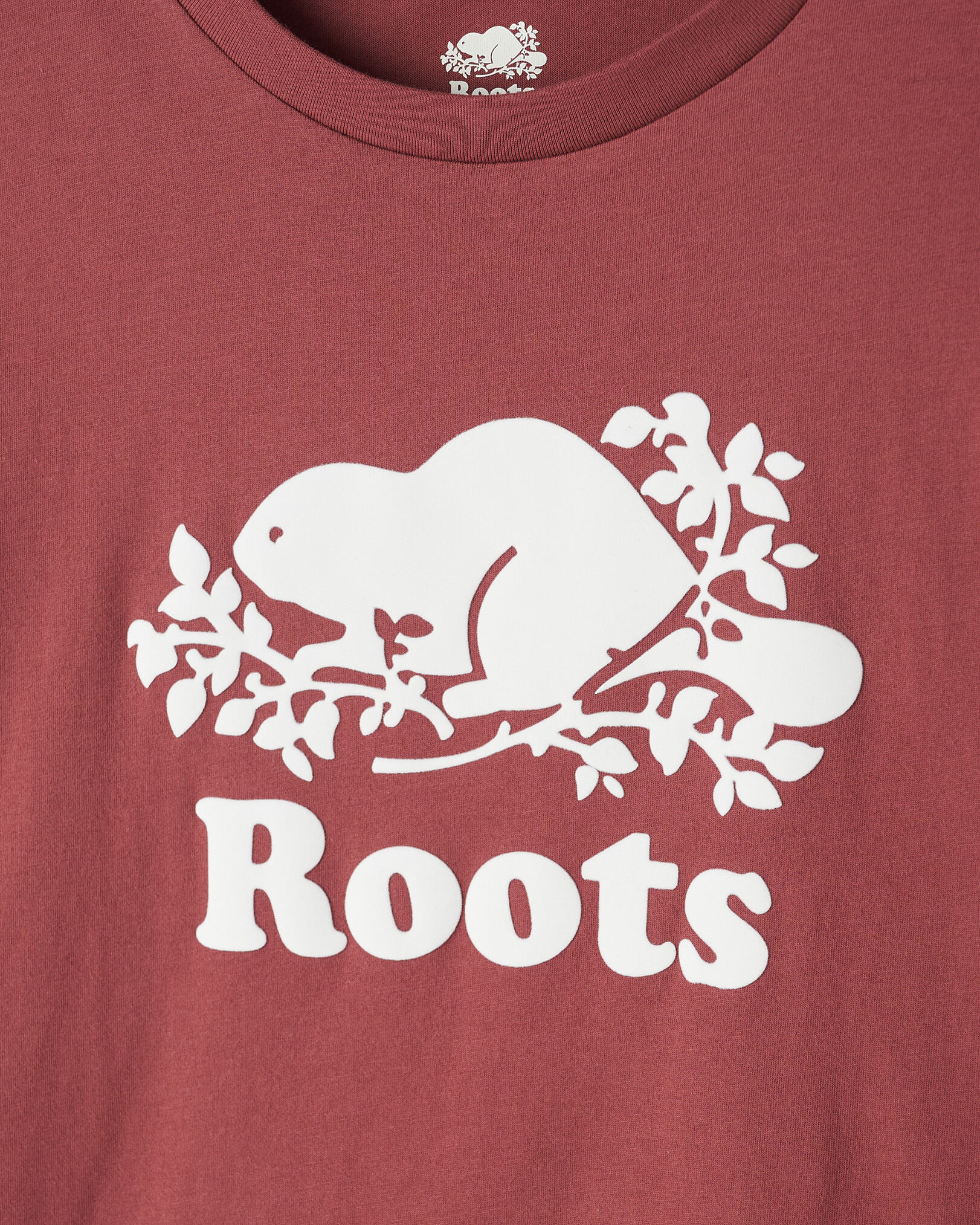 Womens Organic Relaxed Cooper T-shirt