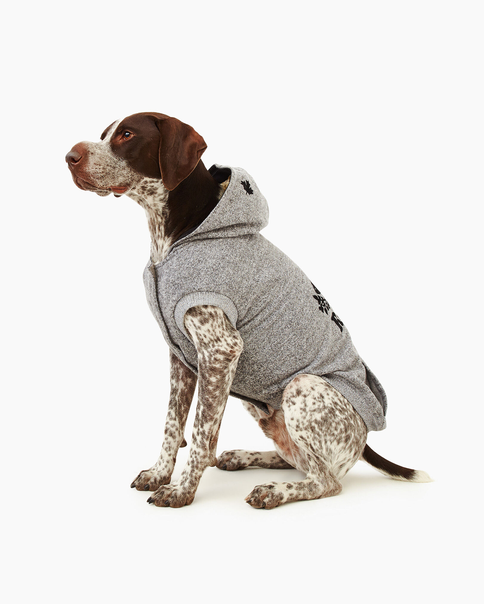 Pooch Salt and Pepper Hoodie Size 24 Canada Pooch Roots