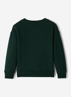 Kids Roots X Wicked Crew Sweatshirt