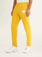 Pantalon ajusté en molleton de coton bio Park