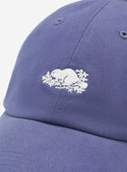 Everyday Cooper Beaver Cap