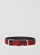 Extra Small Leather Dog Collar