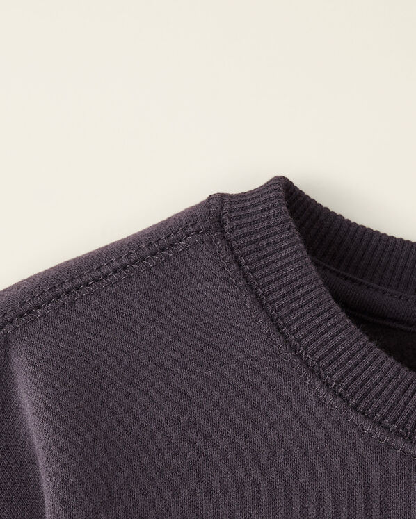 Baby Sporting Goods Relaxed Crew Sweatshirt