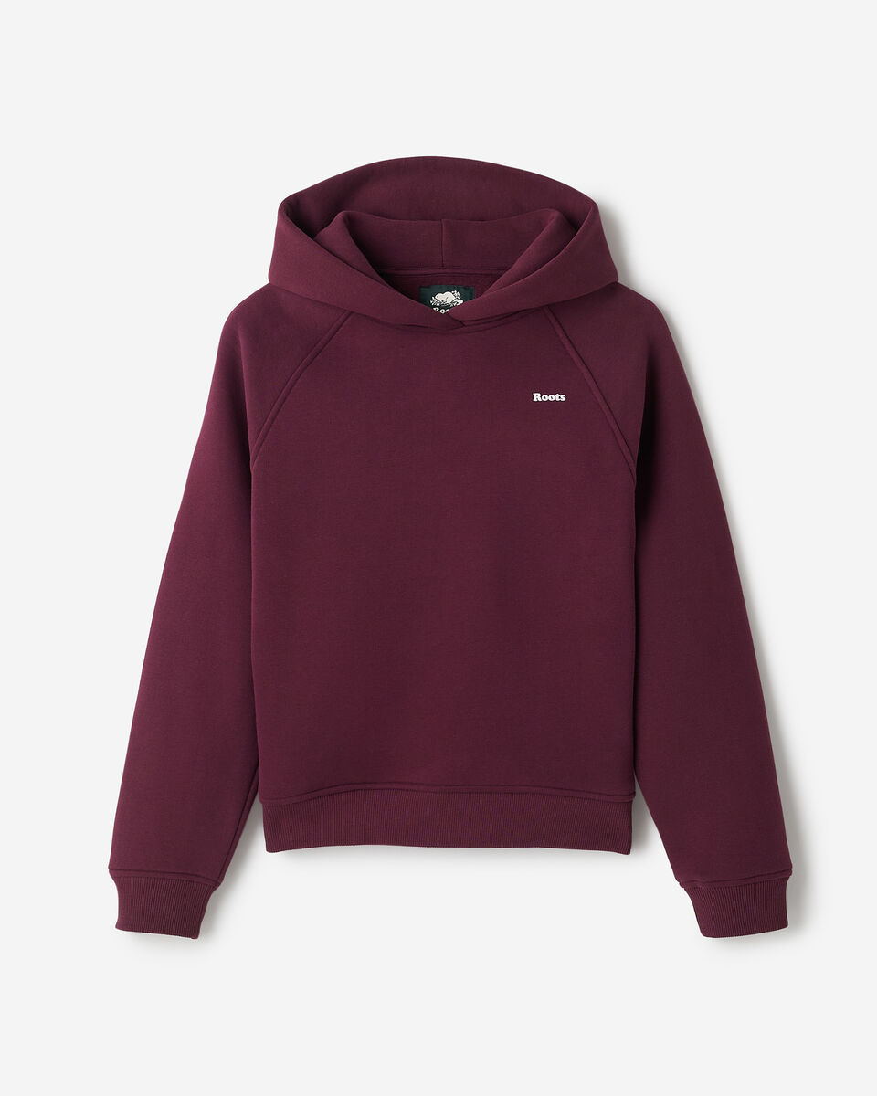 Cloud Raglan Hoodie