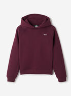 Cloud Raglan Hoodie