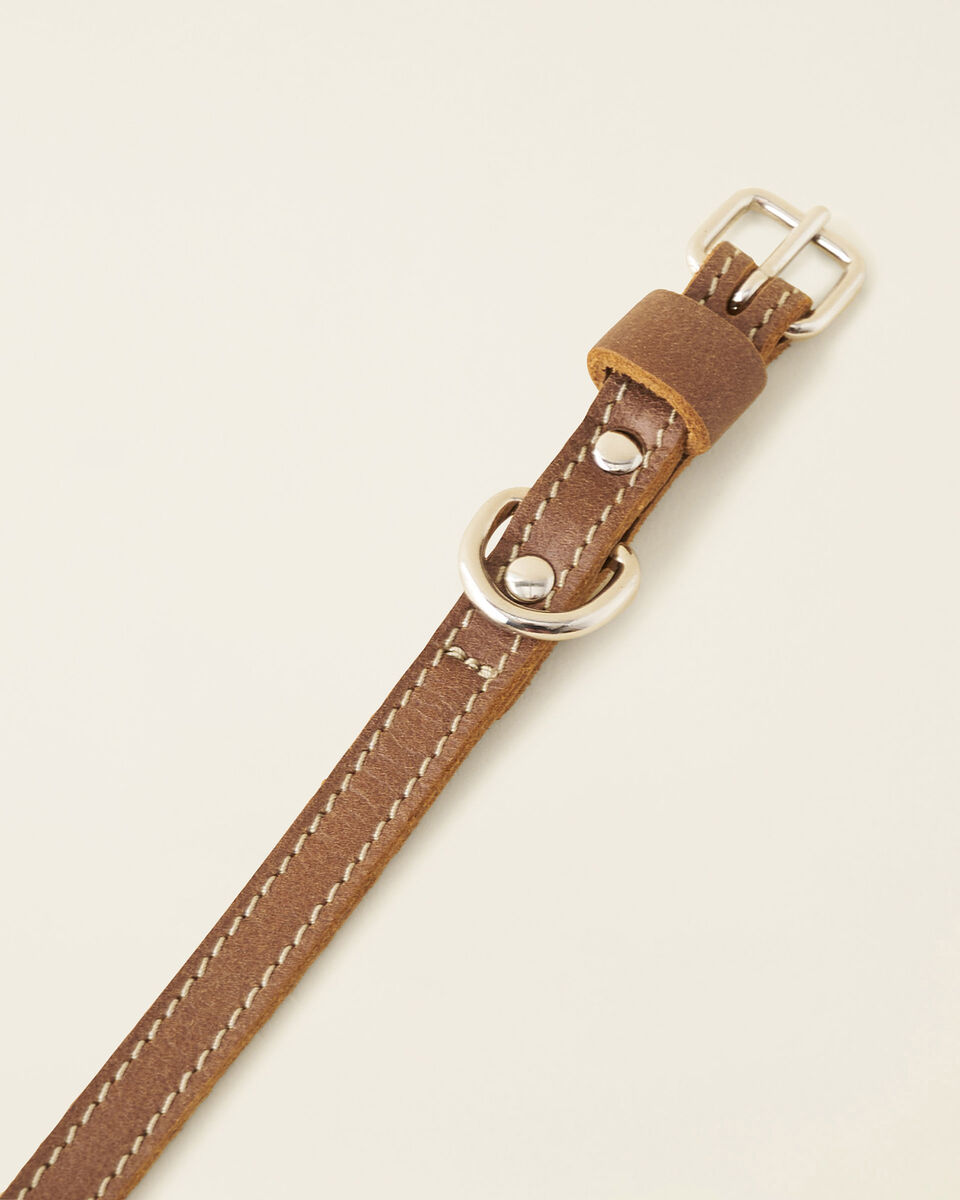 Extra Small Leather Dog Collar