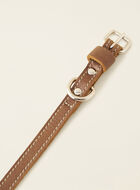 Extra Small Leather Dog Collar