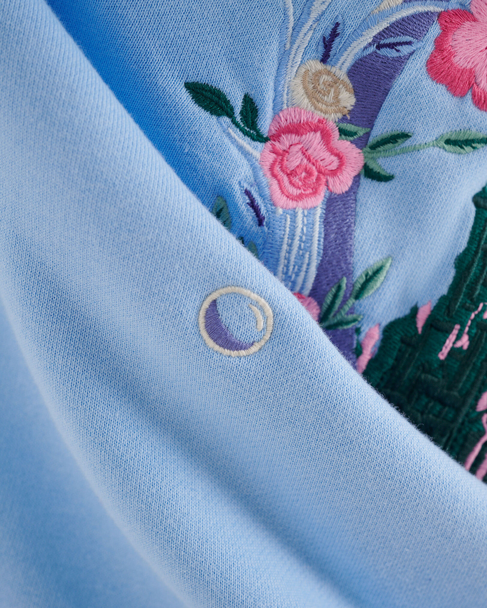 Chandail à capuchon Roots X Wicked OZ