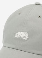 Everyday Cooper Beaver Cap