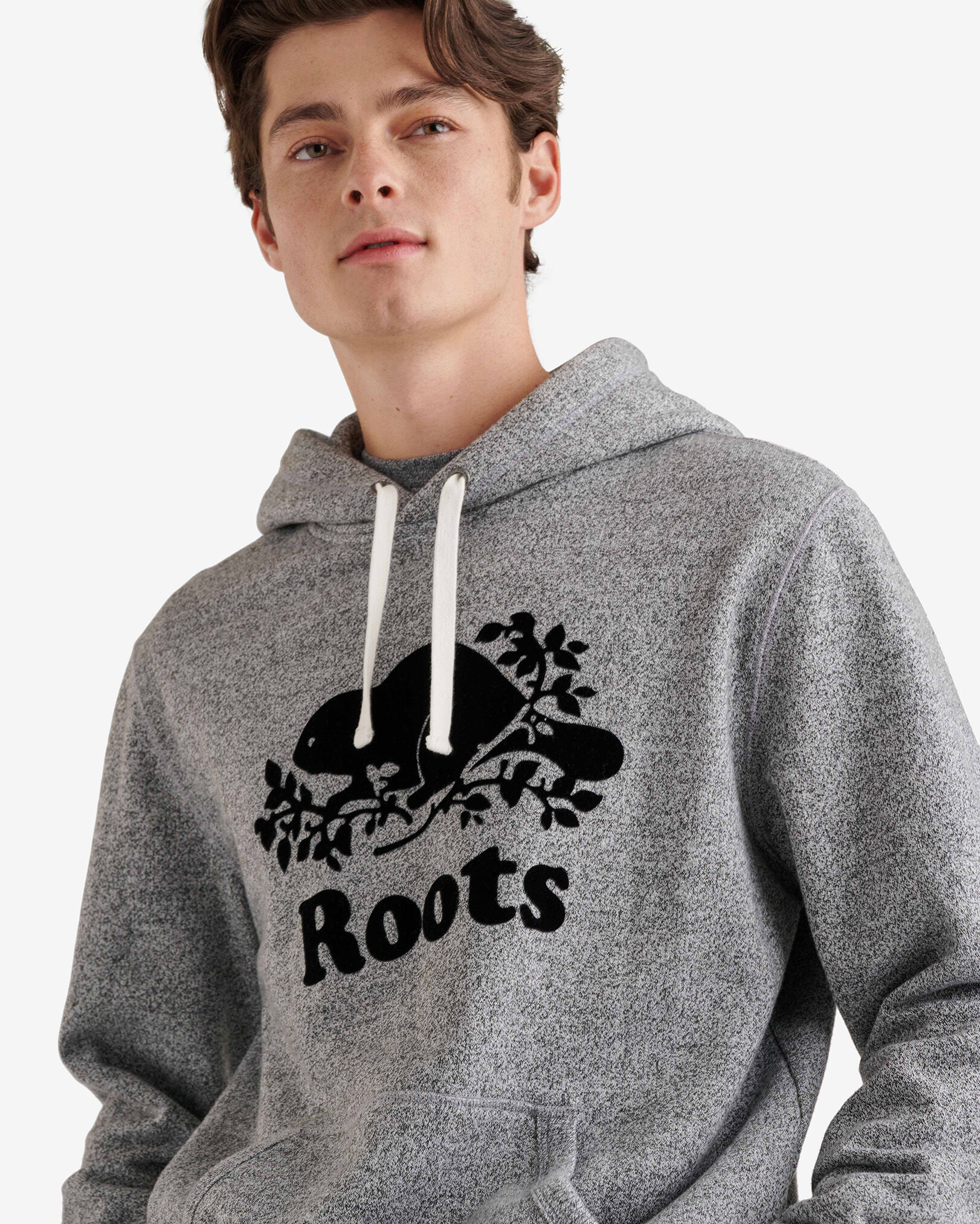 Roots salt discount and pepper hoodie