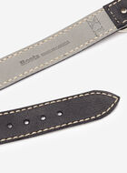 Extra Large Leather Dog Collar