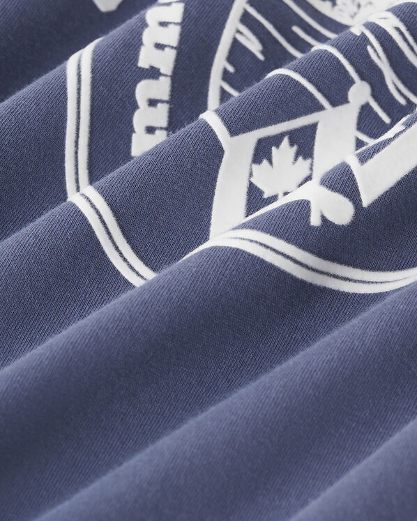 Mens Roots Lakeview T-Shirt