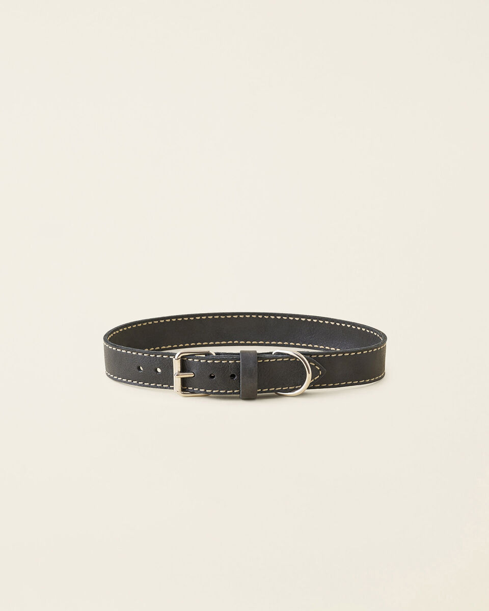 Extra Large Leather Dog Collar