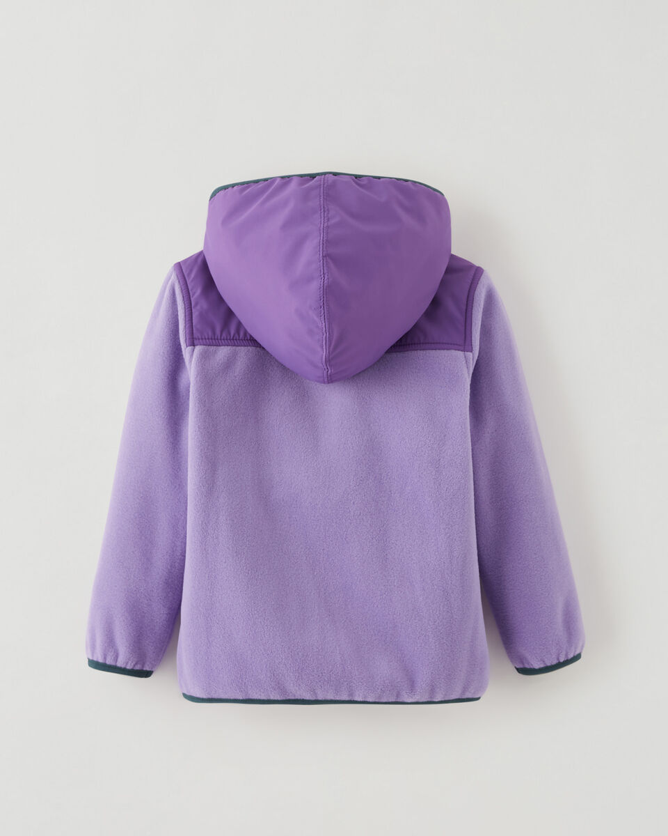 Toddler Polartec® Hooded Jacket