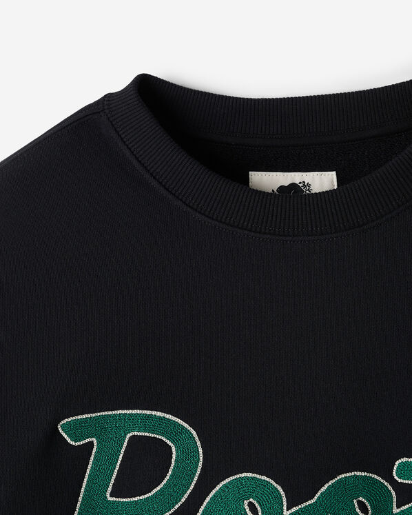 Chandail à col rond Michigan Roots