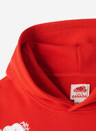 Kids Roots Canada Hoodie