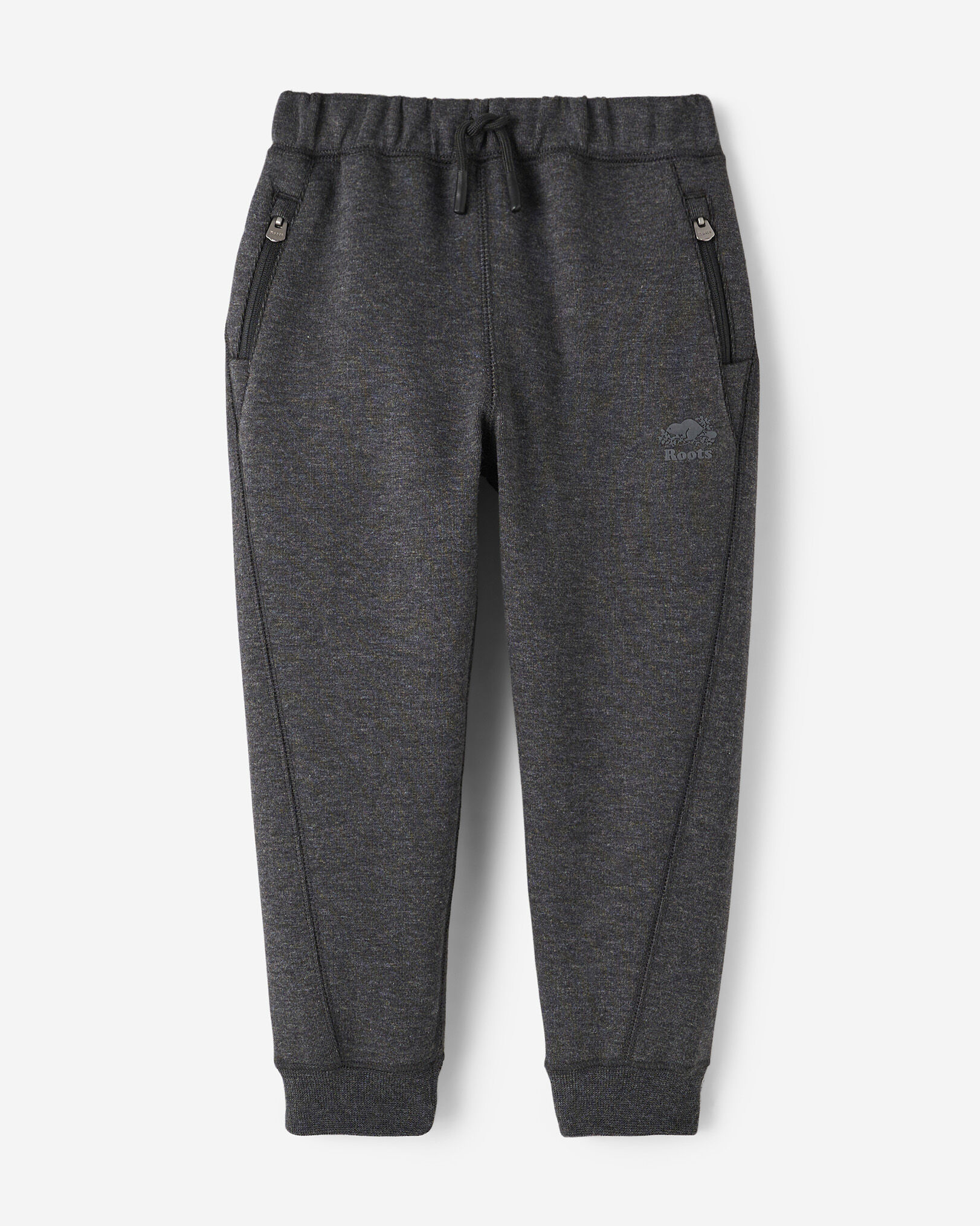 Roots journey jogger on sale