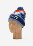 Landscape Intarsia Toque