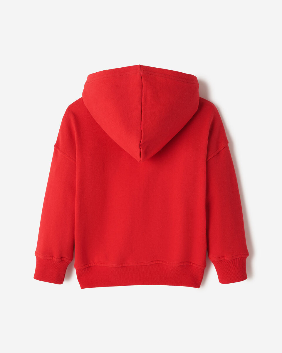 Toddler Northern Athletics Hoodie
