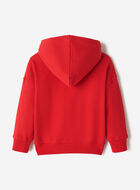 Toddler Northern Athletics Hoodie