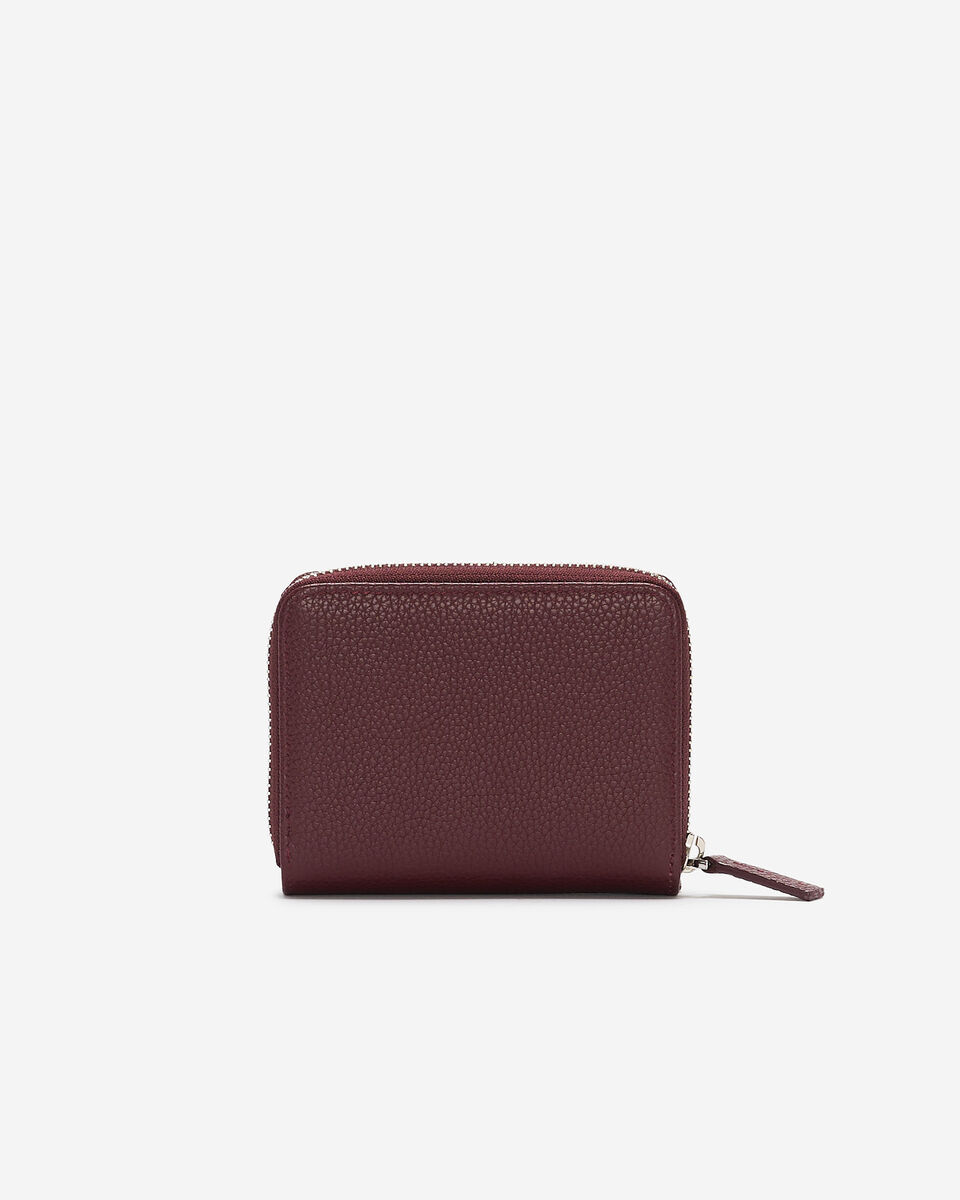 Small Zip Around Clutch Cervino