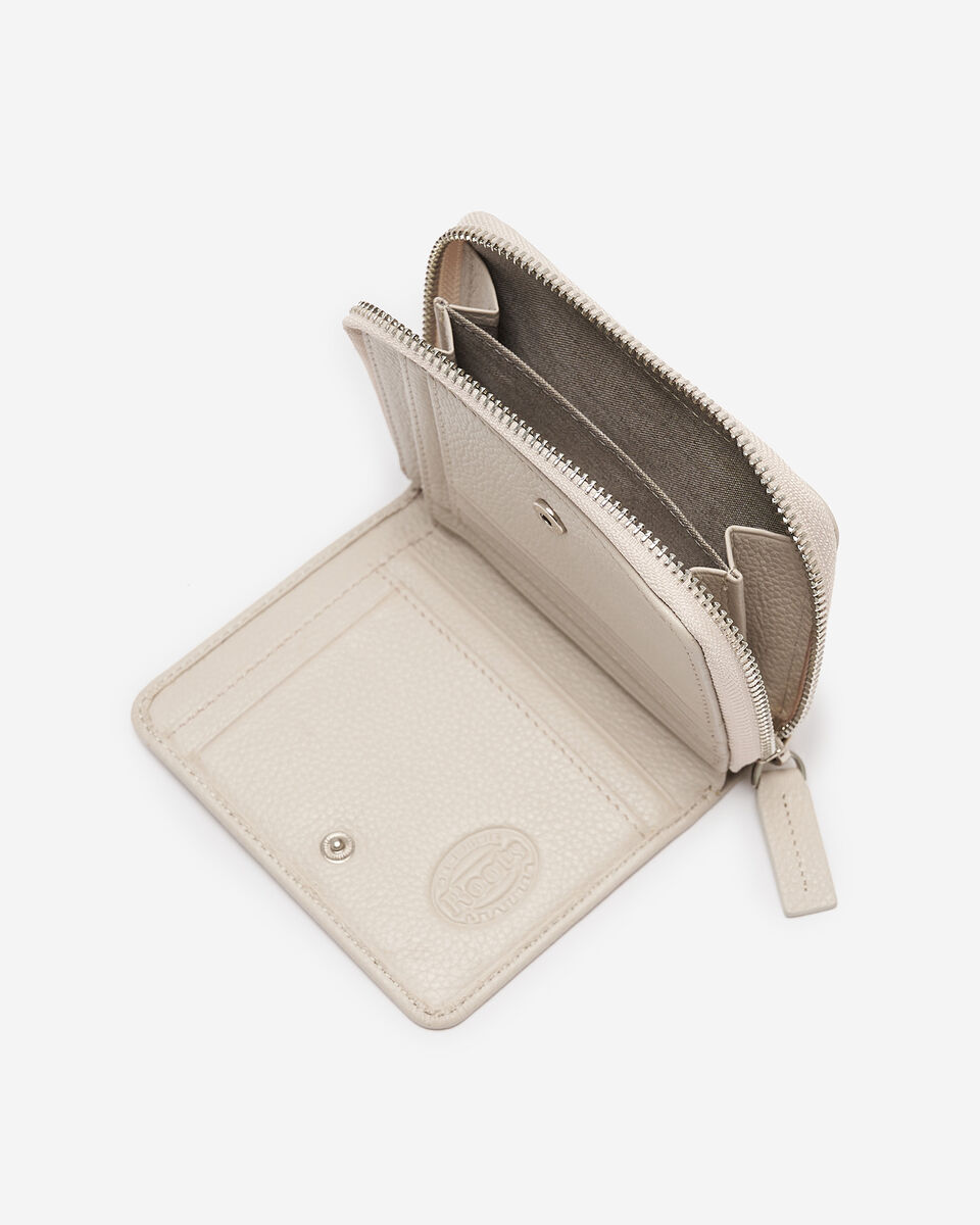 Small Zip Around Clutch Cervino