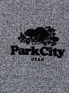 Park City Full Zip Hoodie - Mens