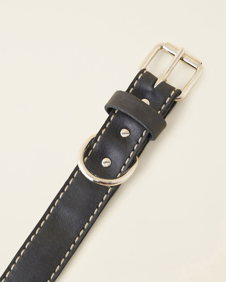 Extra Large Leather Dog Collar