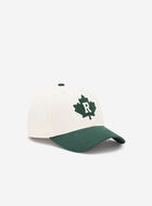 Casquette de baseball Feuille moderne Roots