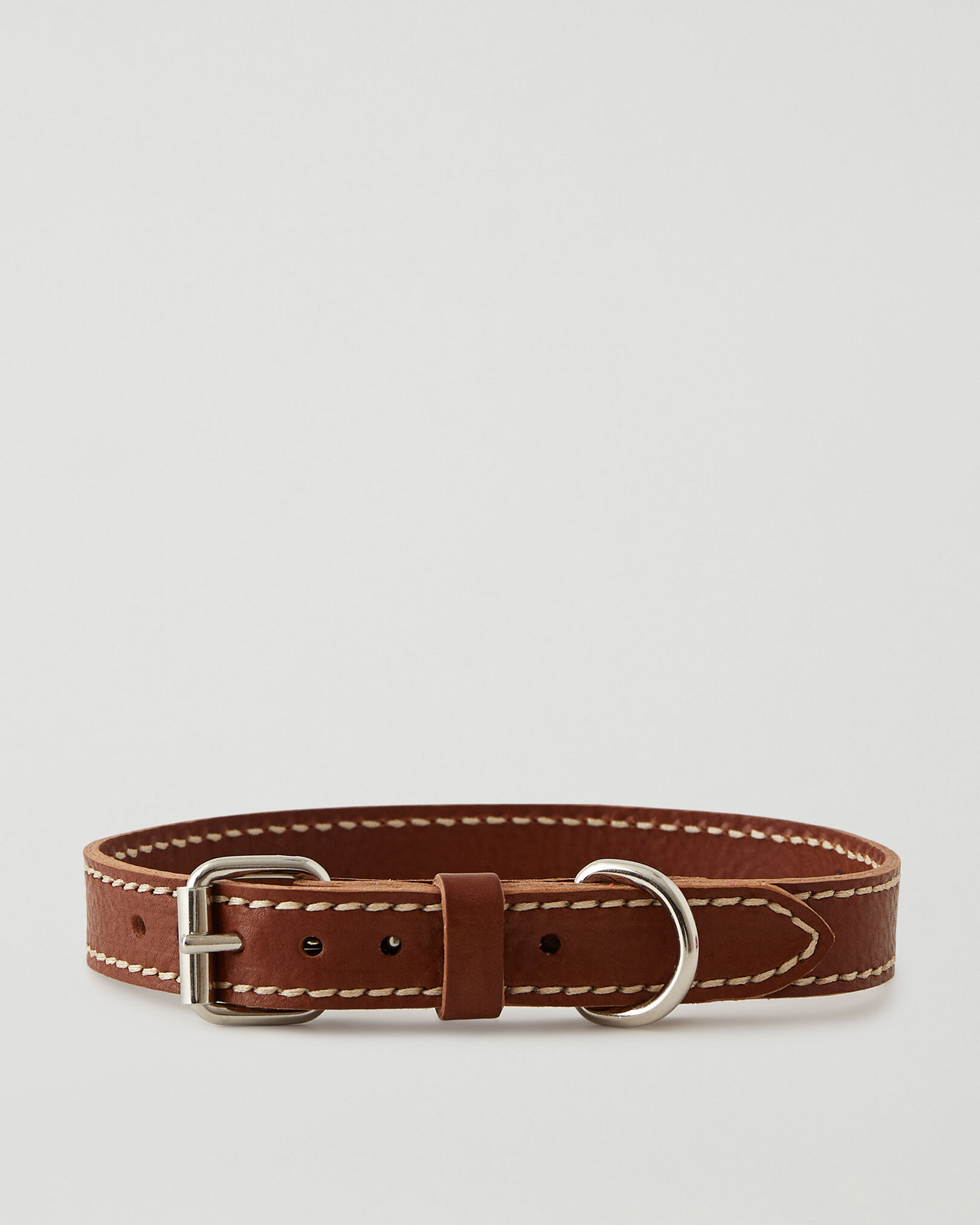 Roots dog collar hot sale