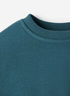 Baby Cloud Crew Sweatshirt