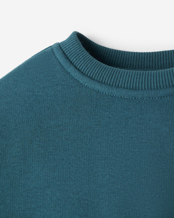 Baby Cloud Crew Sweatshirt