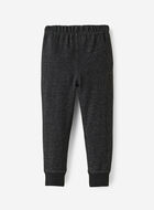 Toddler Boys Organic Park Slim Sweatpant