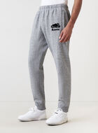 Organic Park Slim Sweatpant Tall (32 Inch Inseam)