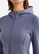 Chandail &agrave; capuchon et glissi&egrave;re Roam