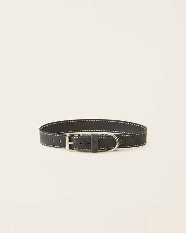 Extra Large Leather Dog Collar